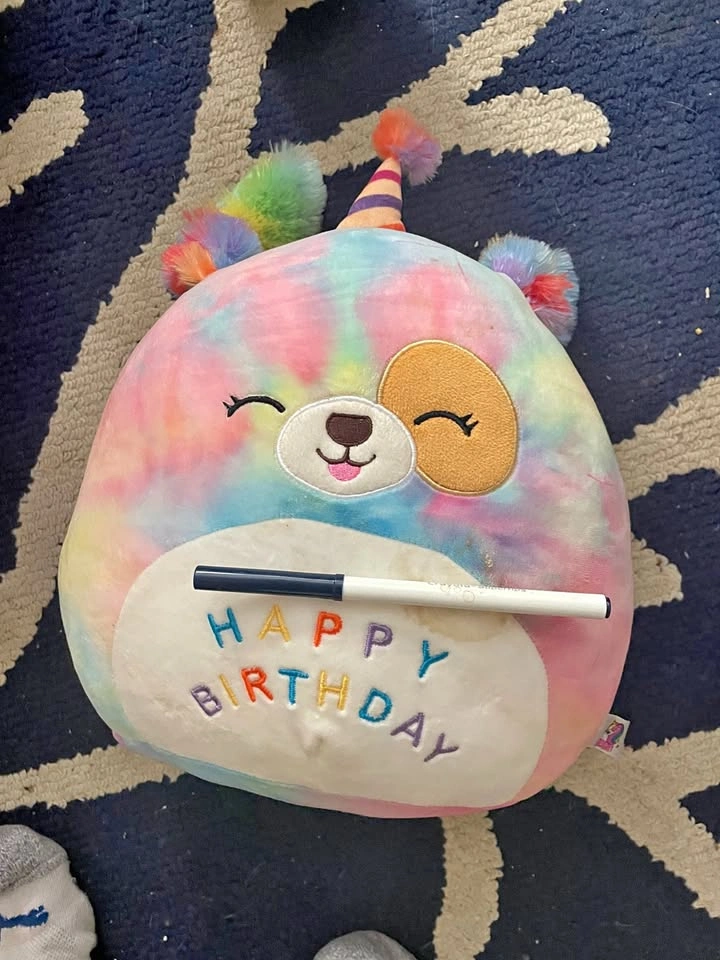 🏈 Squishmallow Happy Birthday Dog Plush