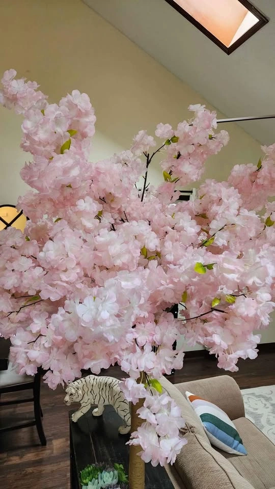 Pink or White blossom tree 5ft - photo 2
