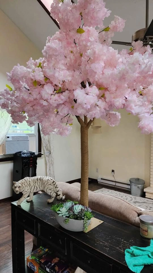Pink or White blossom tree 5ft - photo 3