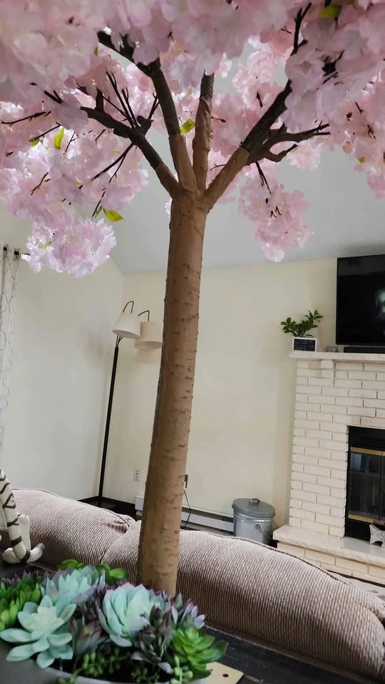 Pink or White blossom tree 5ft - photo 4