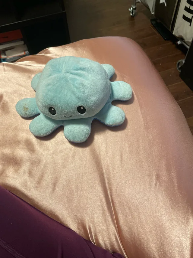 Stuffy, flipable octopus thumbnail