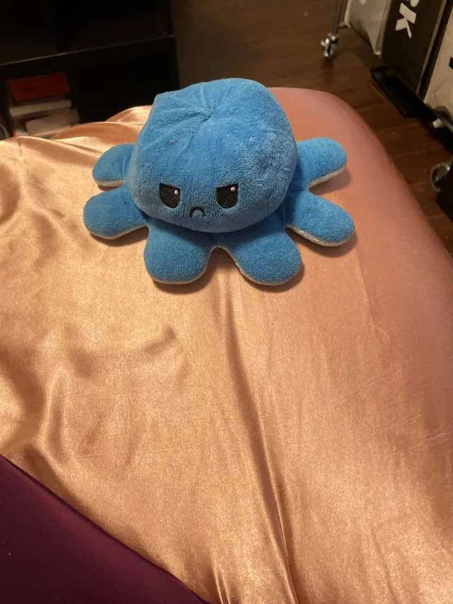 Stuffy, flipable octopus image indicator(2)