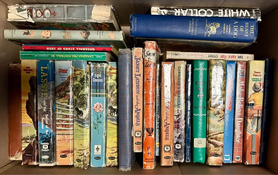 Vintage Hardcover Book Lot image indicator(2)