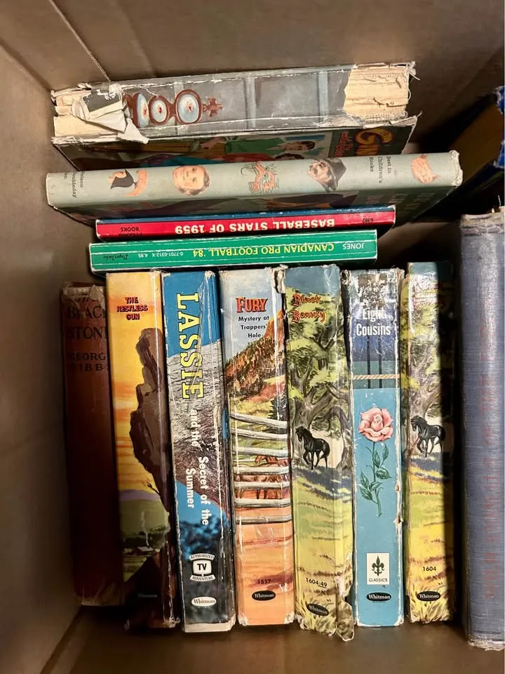 Vintage Hardcover Book Lot image indicator(5)