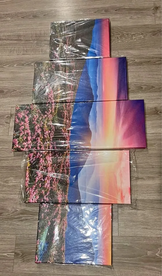 5 Piece Canvas Wall Art Mountain Sunset- NEW