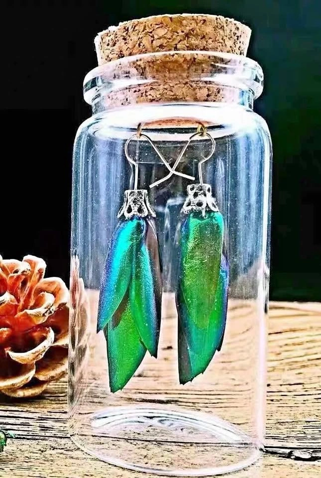 Real Thai jewel beetle wing earrings