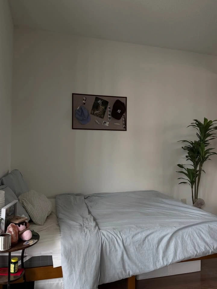 1 Bed 1 Bath - Apartment - photo 4