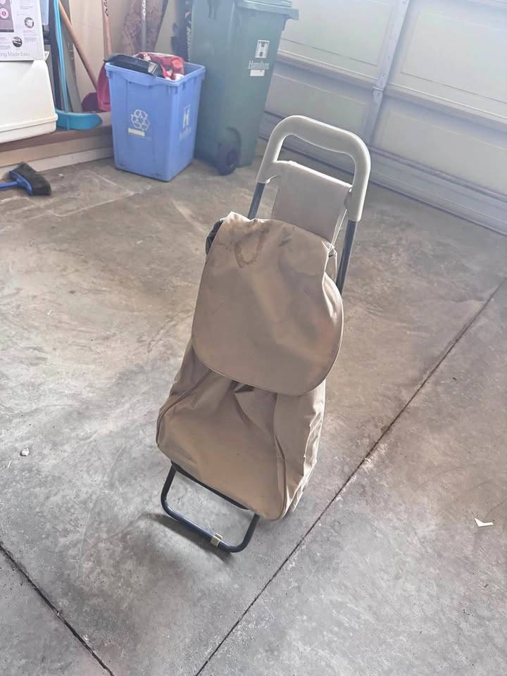 Folding Shopping / Utility Cart – $5