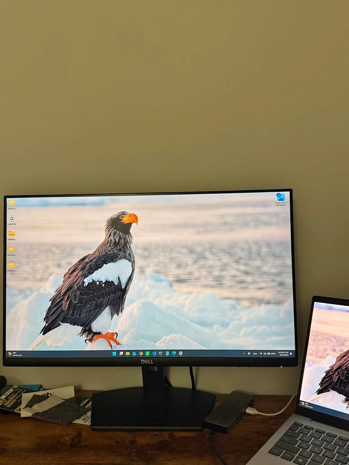 Dell S2421NX 24" Class IPS Full HD LCD Monitor 1080P 75 HZ