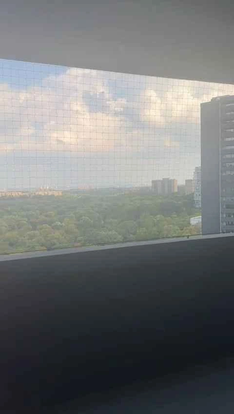 2 Beds 1 Bath - Apartment - photo 3