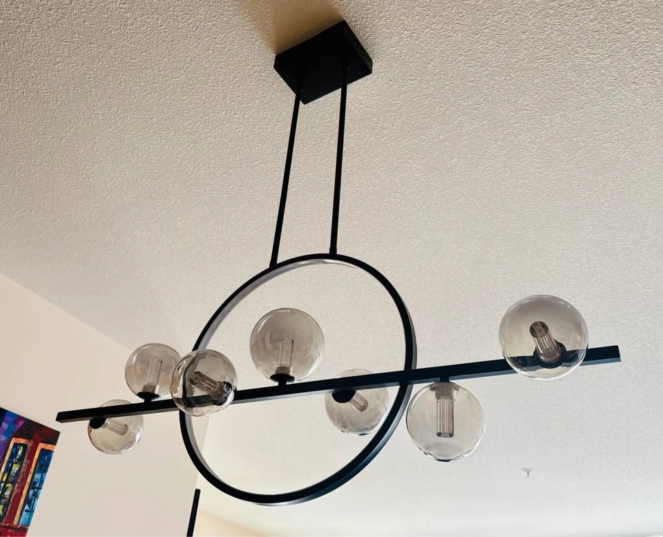 Modern Black LED Ring and Glass Globe Chandelier - photo 4