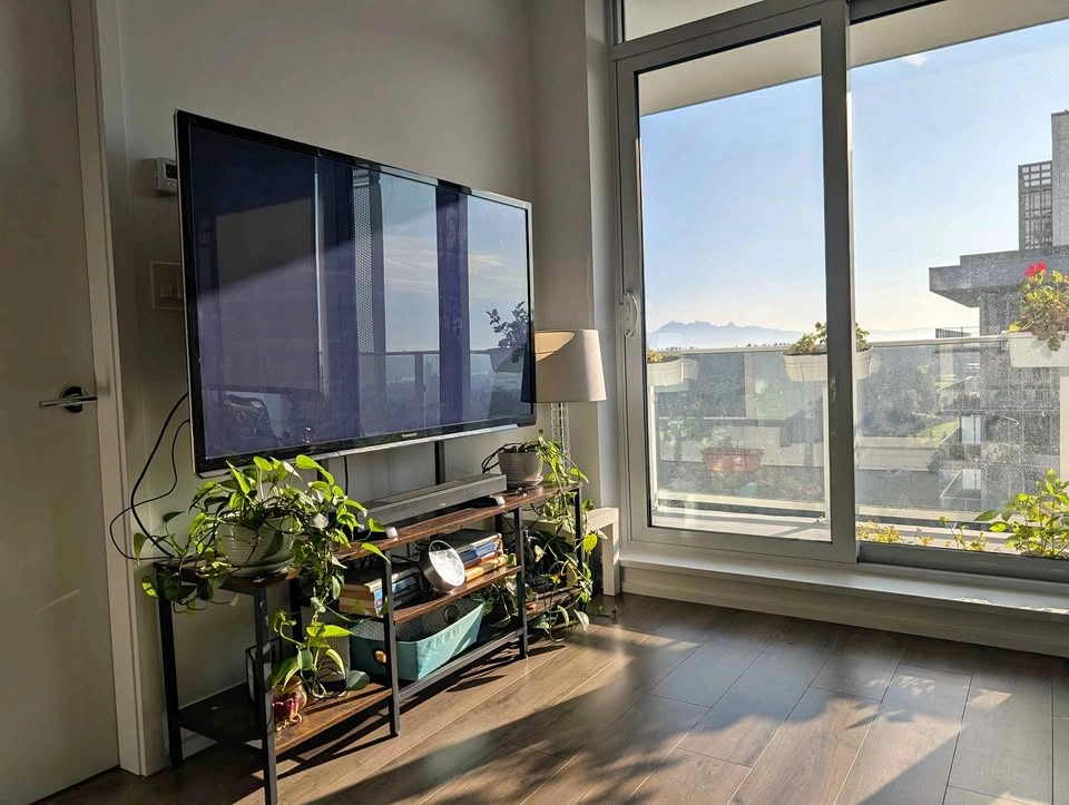 1 bed 1 bath Flat
