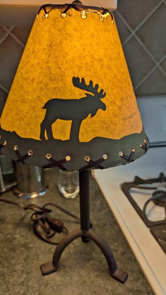 Cute Moose Lamp 🫎