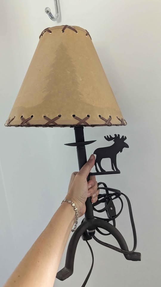 Cute Moose Lamp 🫎 - photo 2