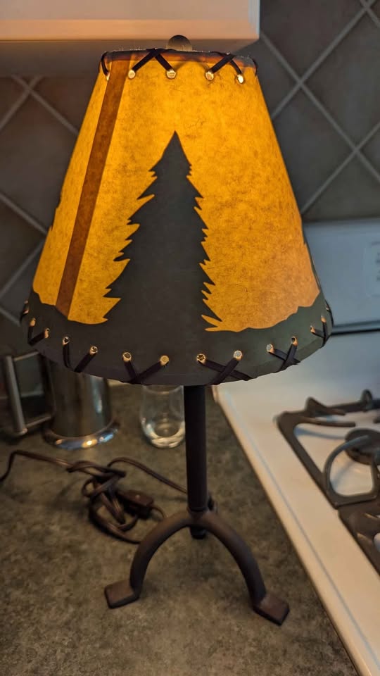 Cute Moose Lamp 🫎 - photo 3