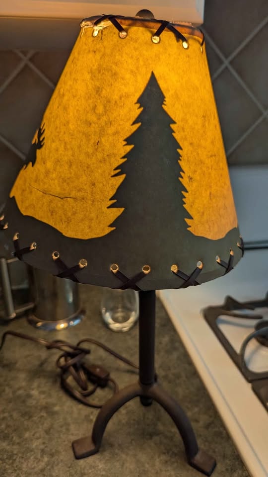 Cute Moose Lamp 🫎 - photo 4