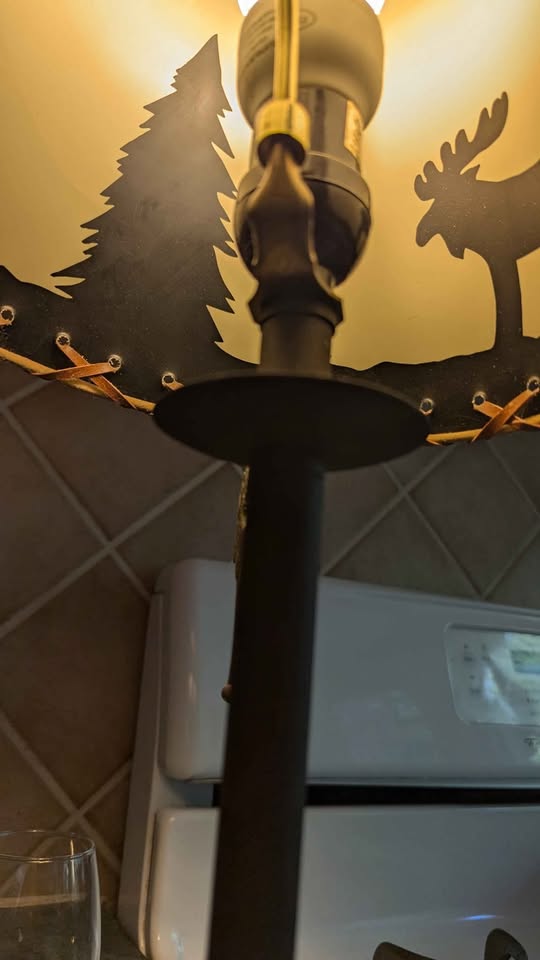 Cute Moose Lamp 🫎 - photo 5
