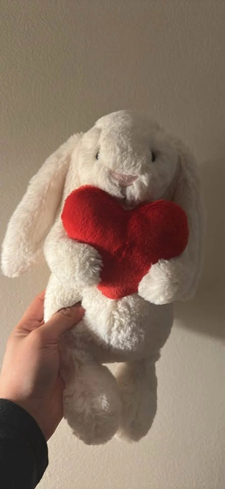 Hug and Bunny Jelly Cat - photo 3