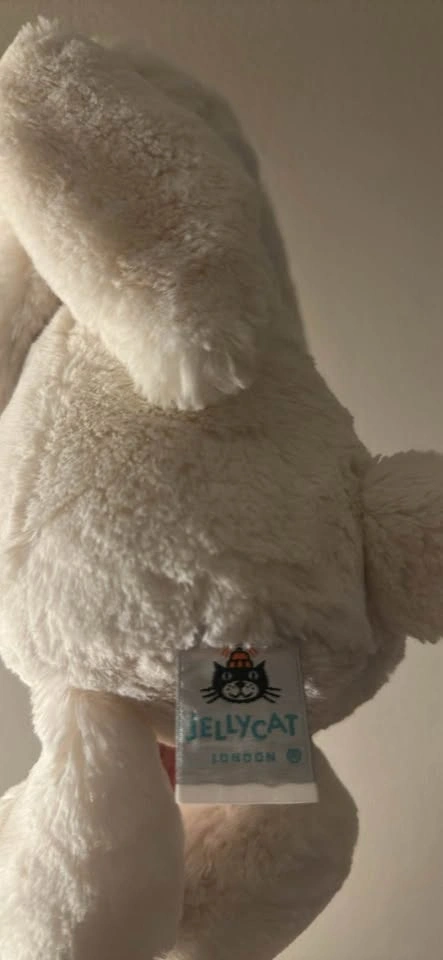 Hug and Bunny Jelly Cat - photo 4