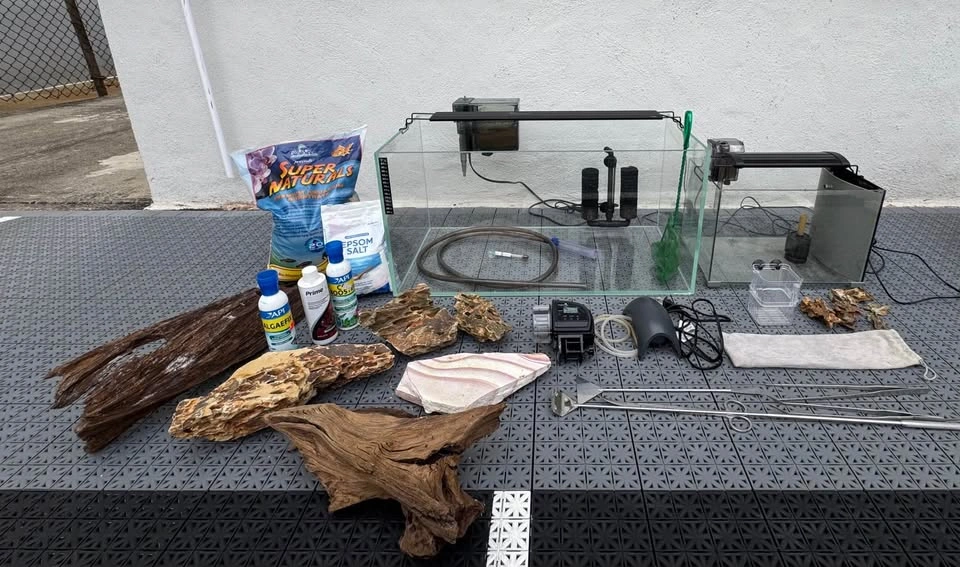 Rimless Glass Aquarium Setup with Accessories plus a small tank - photo 2