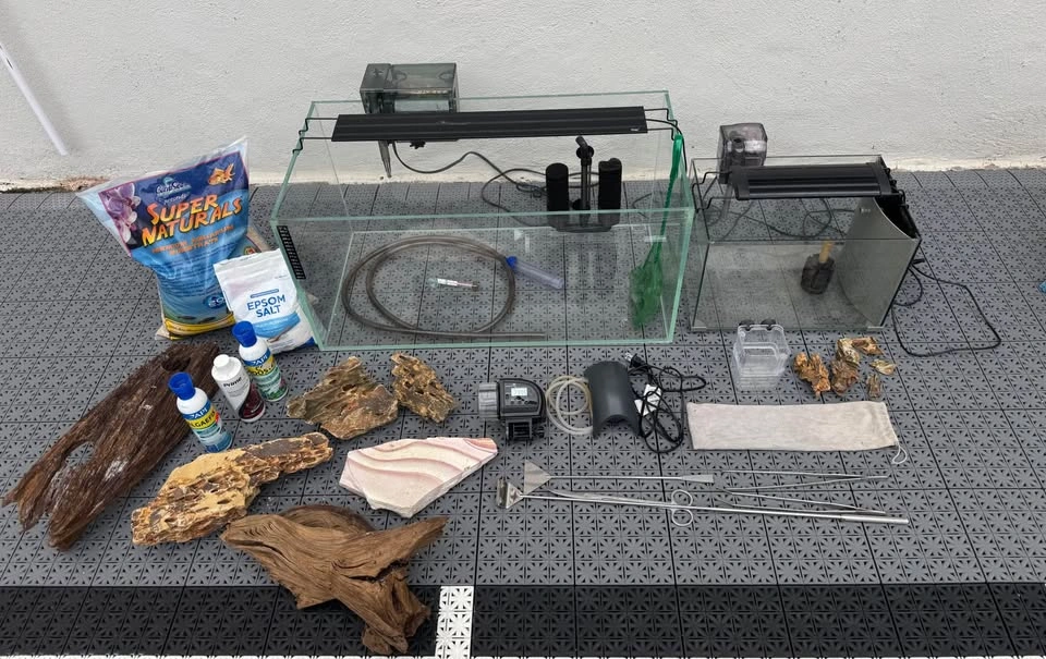 Rimless Glass Aquarium Setup with Accessories plus a small tank - photo 3