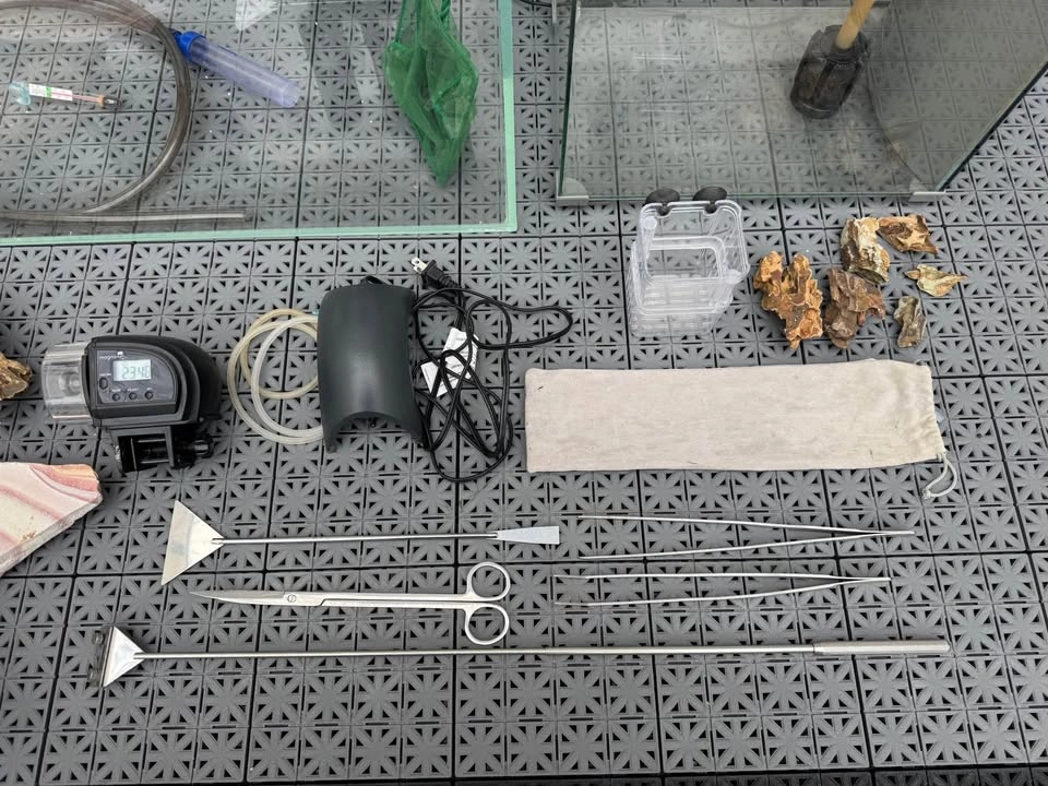 Rimless Glass Aquarium Setup with Accessories plus a small tank - photo 4