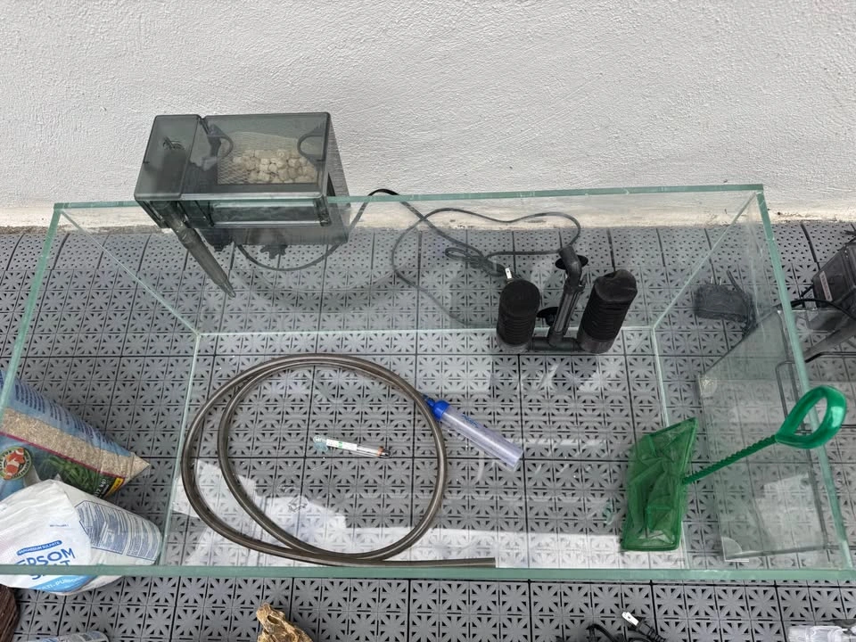 Rimless Glass Aquarium Setup with Accessories plus a small tank - photo 5