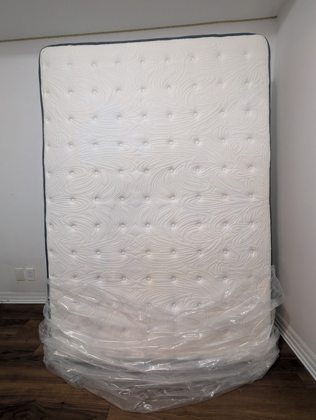Sealy Full Size Foam Mattress
