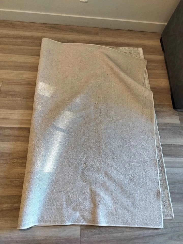 Walmart area rug 5x7 - photo 2