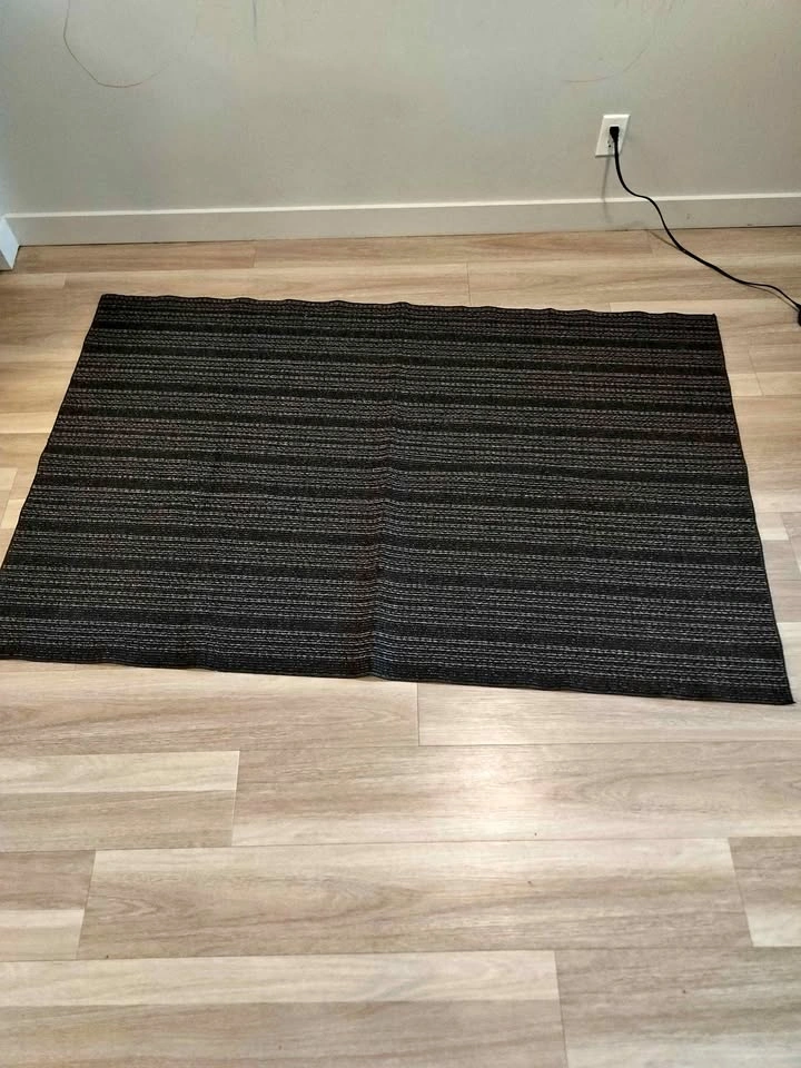 Costco rug 46"x72"