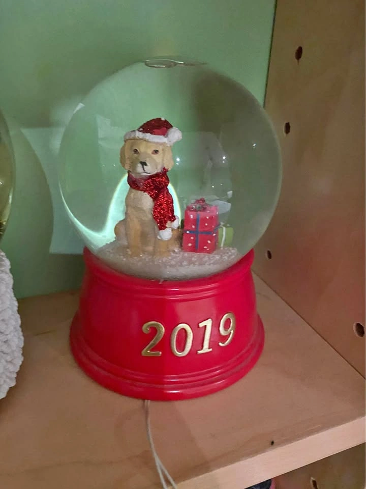 2019 snow globe 🏈