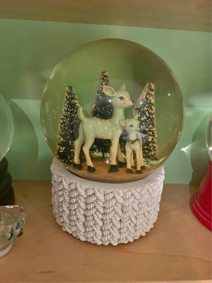 🏈 snow globe
