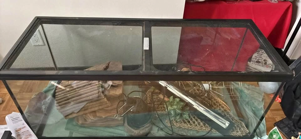 Full lizard tank set up