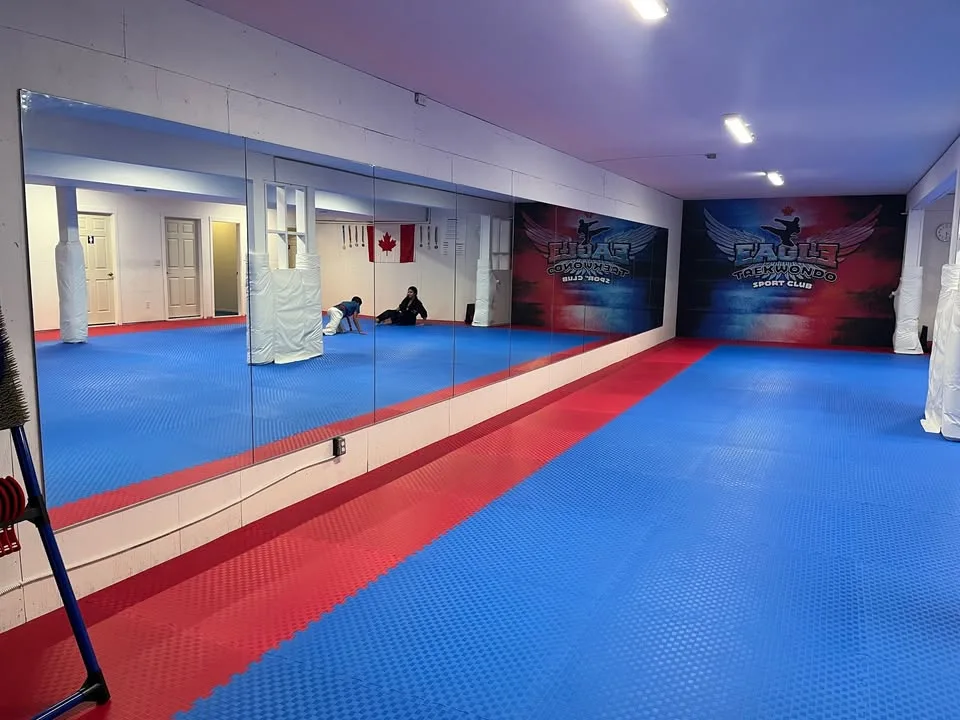 Mirrors - Large - Gym image indicator(6)