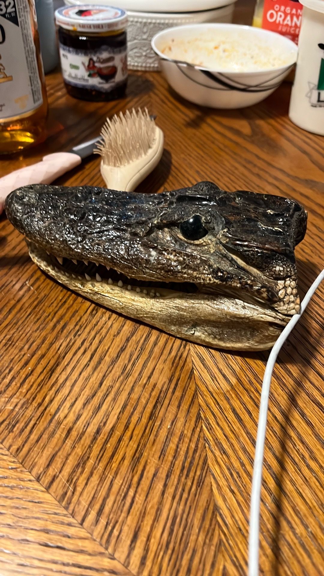 Alligator - photo 2