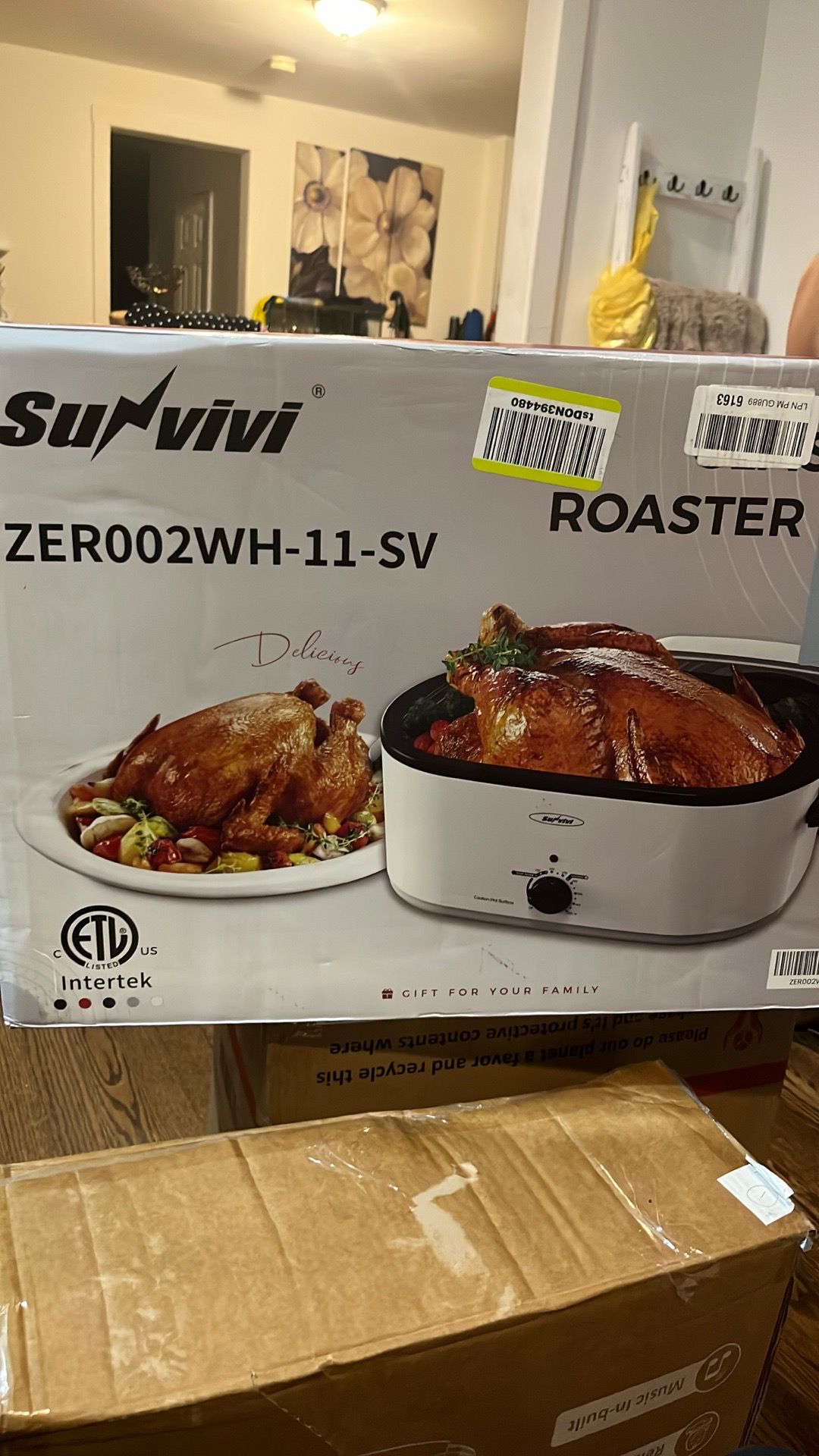 Turkey electric roaster