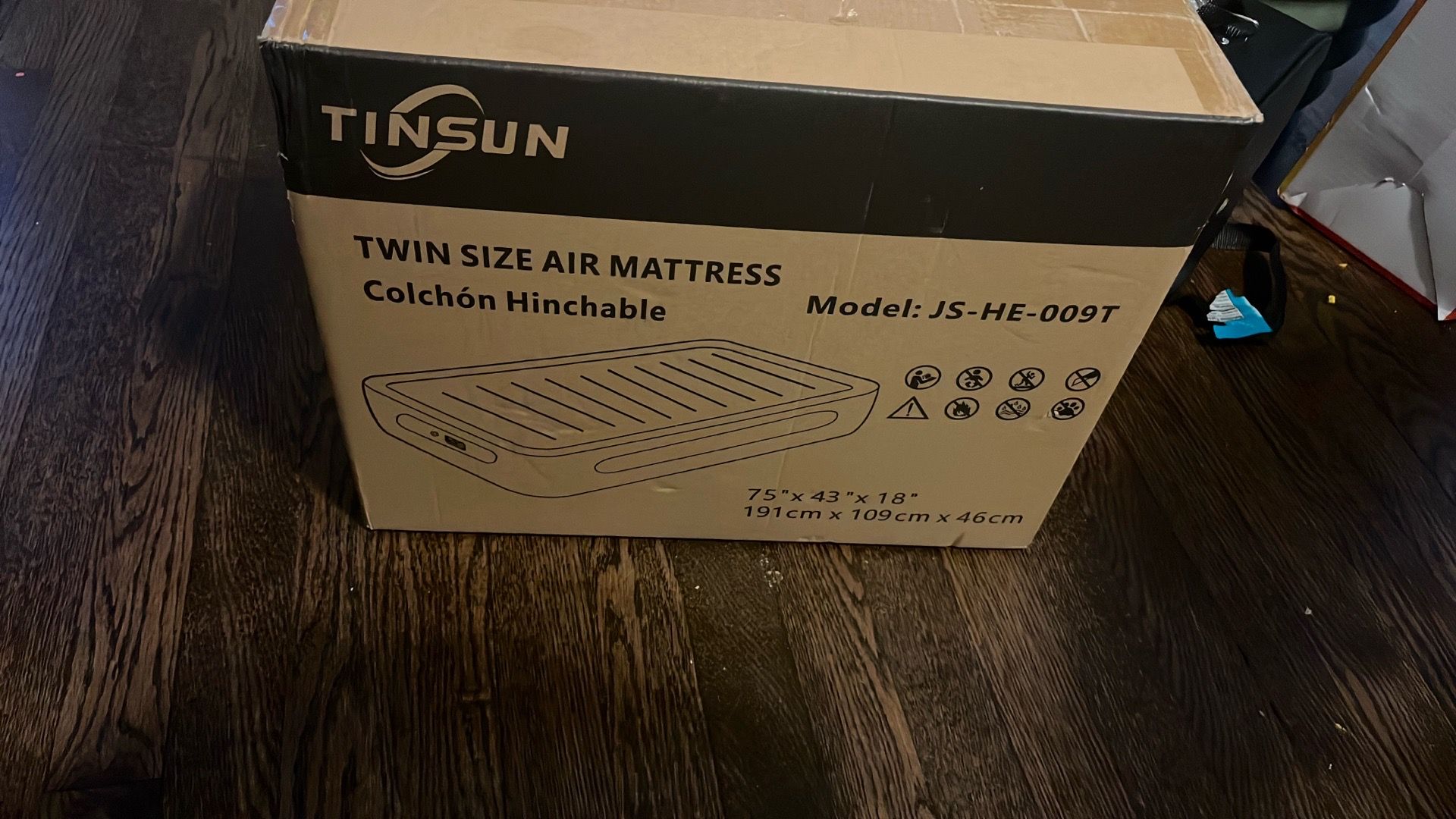 Air mattress twin