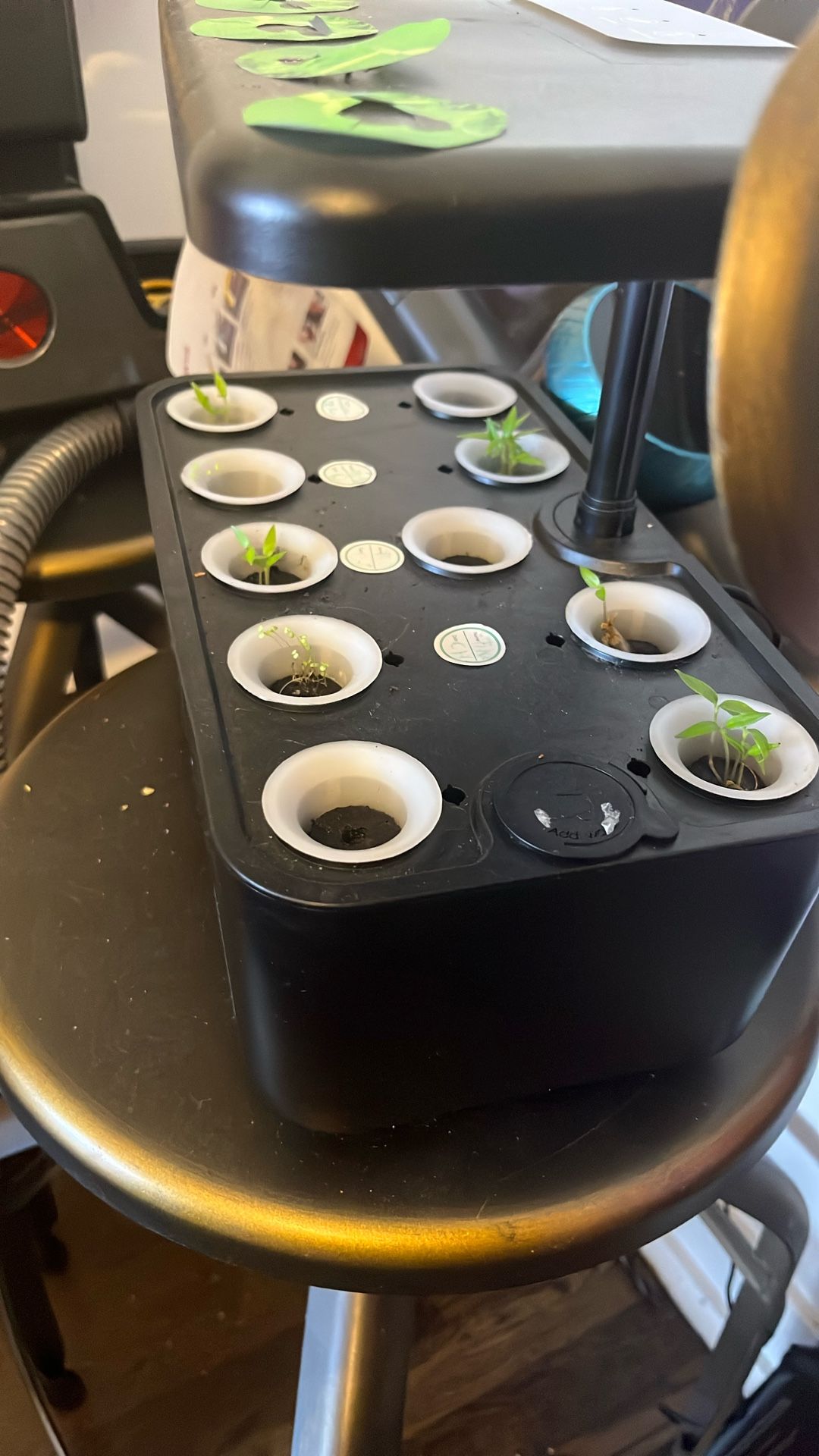 Hydroponic Garden