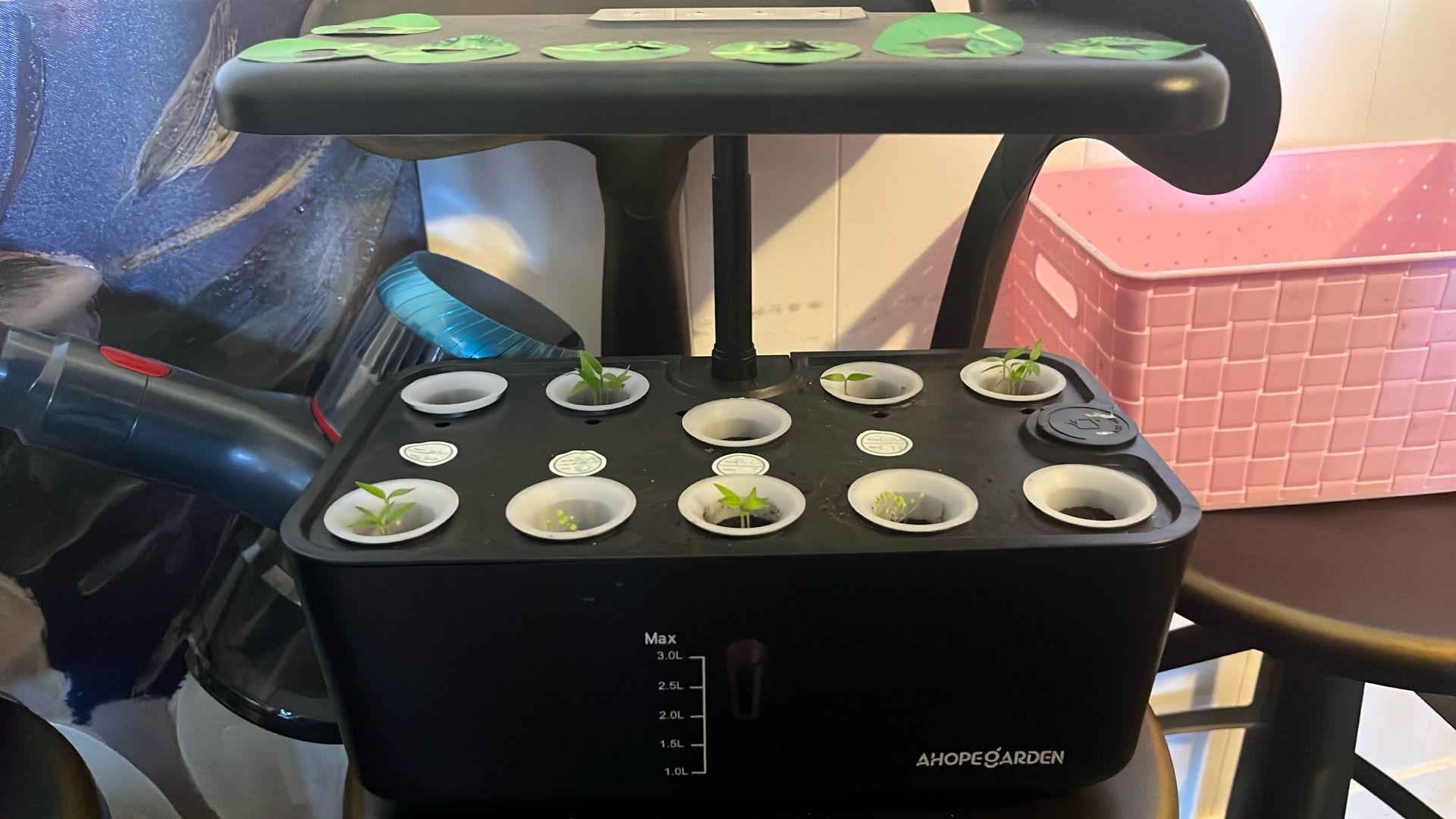 Hydroponic Garden - photo 3