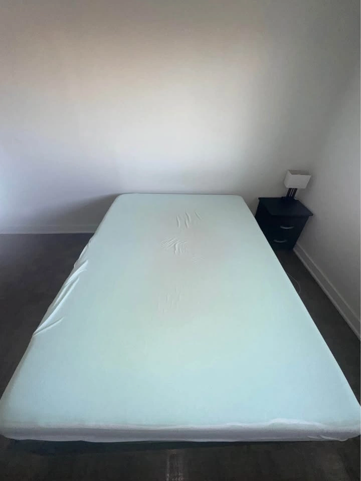 Queen Mattress, Mattress Encasement & Black Metal Bed Frame - photo 4