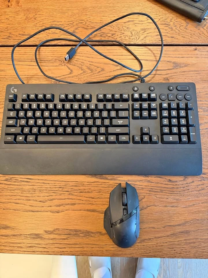 Logitech G213 Keyboard and Razer Basilisk X Mouse