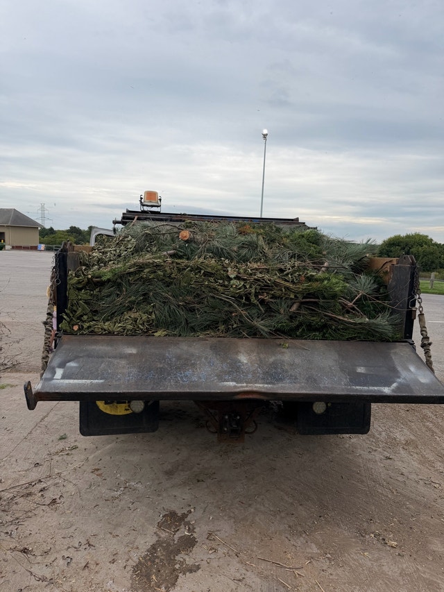 junk removal, reasonable rates