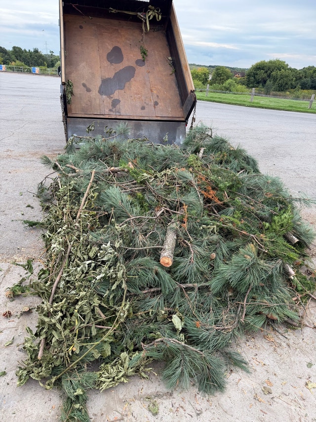 junk removal, reasonable rates - photo 2