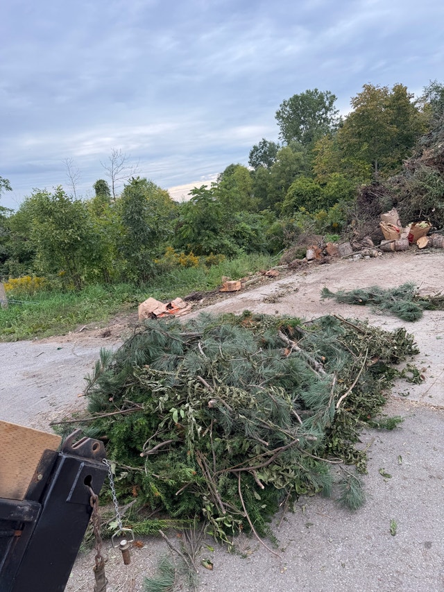 junk removal, reasonable rates - photo 3