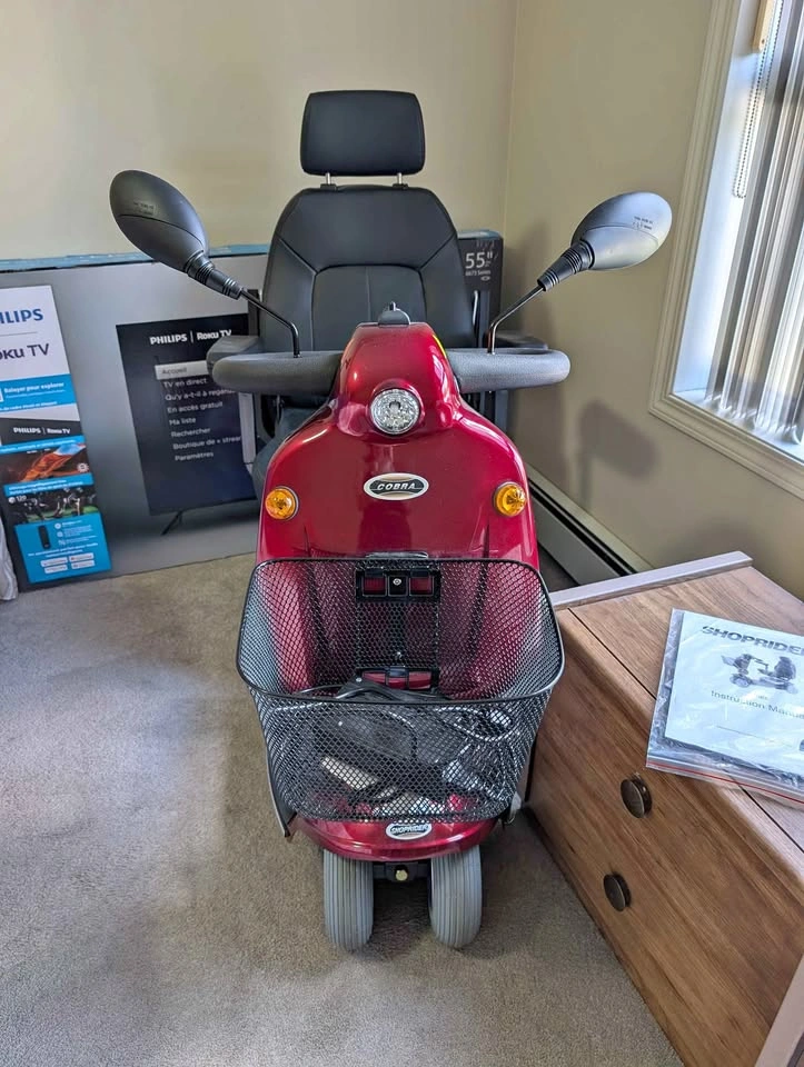 Mobile Electric Scooter