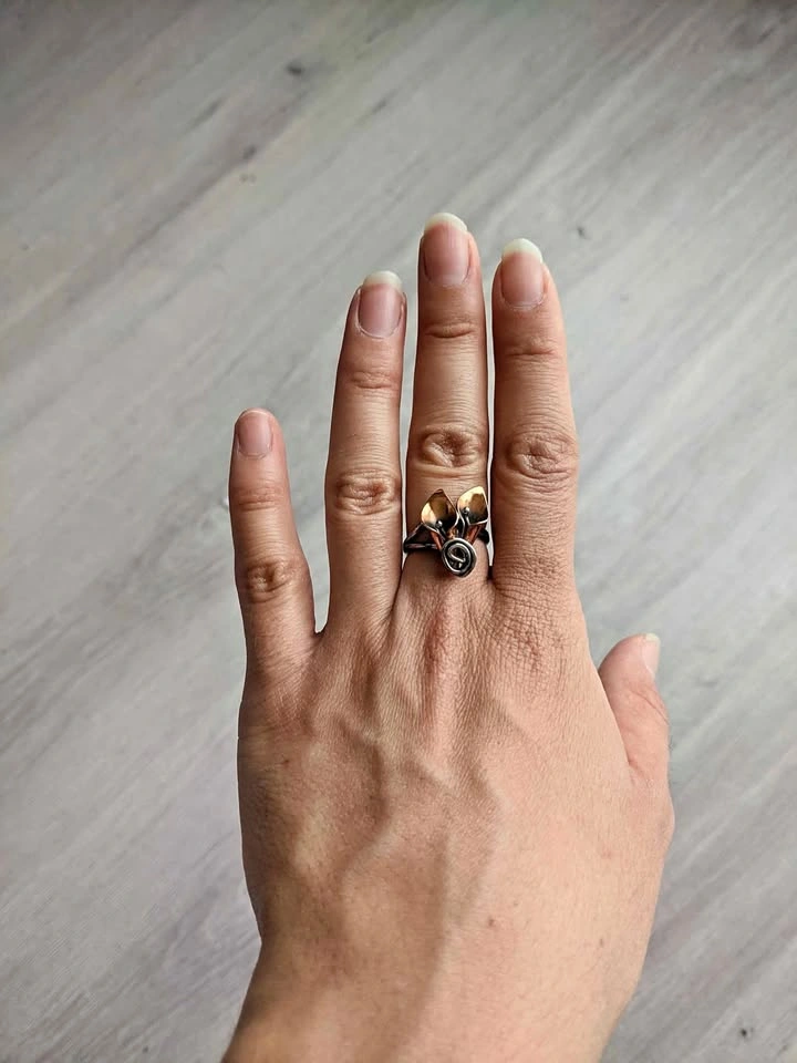 Copper and silver ring