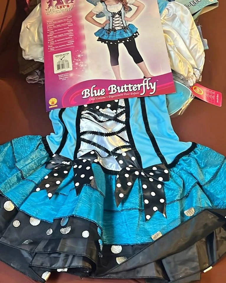 Blue Butterfly Costume with Wings
