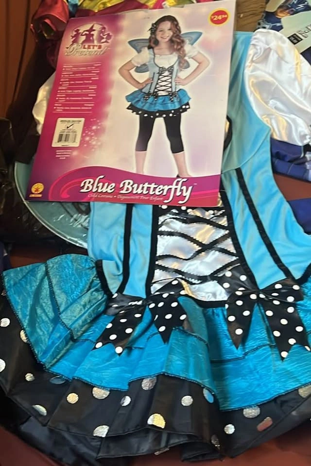 Blue Butterfly Costume with Wings - photo 4