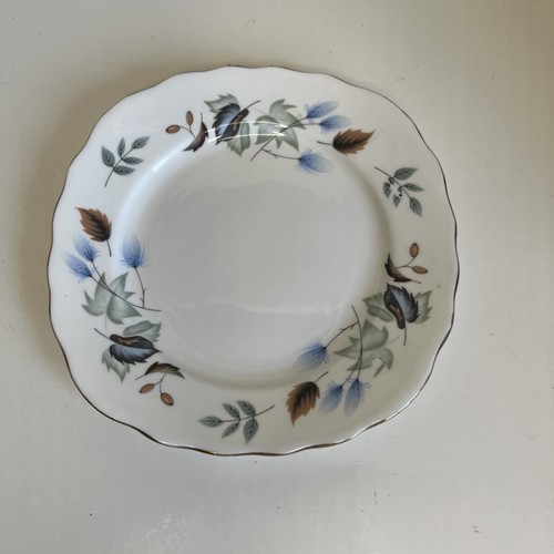 Colclough Side Plates Bone China Ridgeway Potteries 1950s Set - photo 3