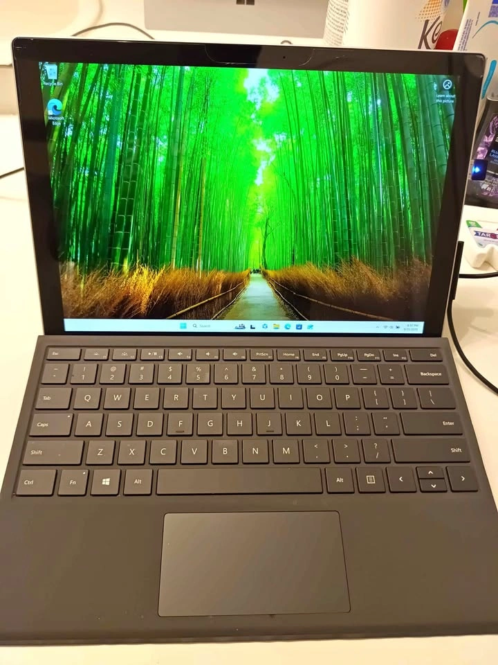 Microsoft Surface Pro 5 LTE i5 8GB RAM 256GB SSD Win 11 Pro
